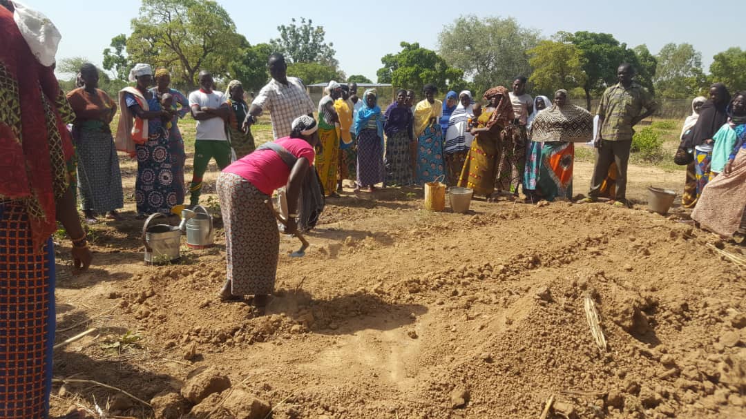 Formazione in agro ecologia costruzione buttes sandwich Loumbila Burkina Faso